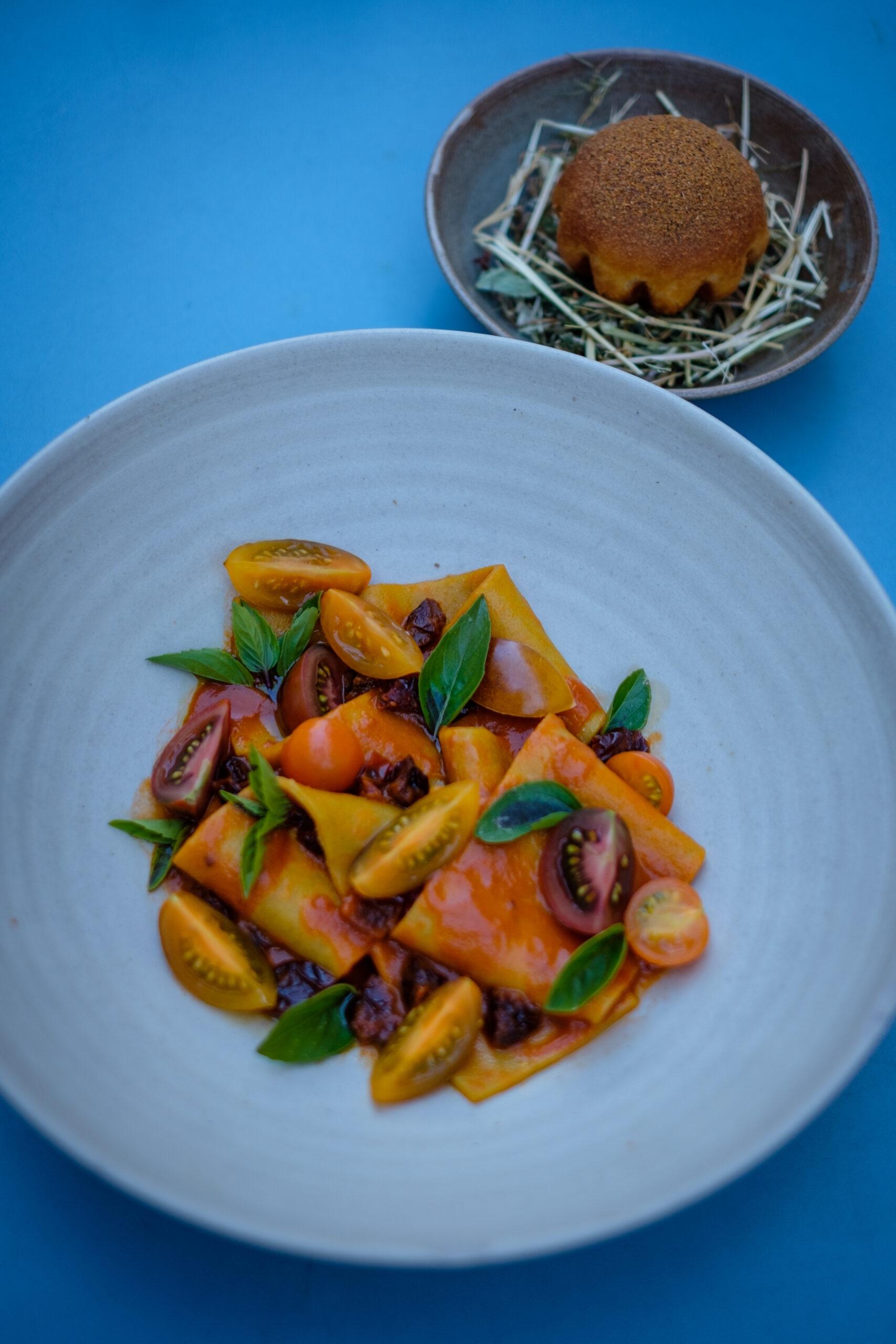 pasta lobster tomato